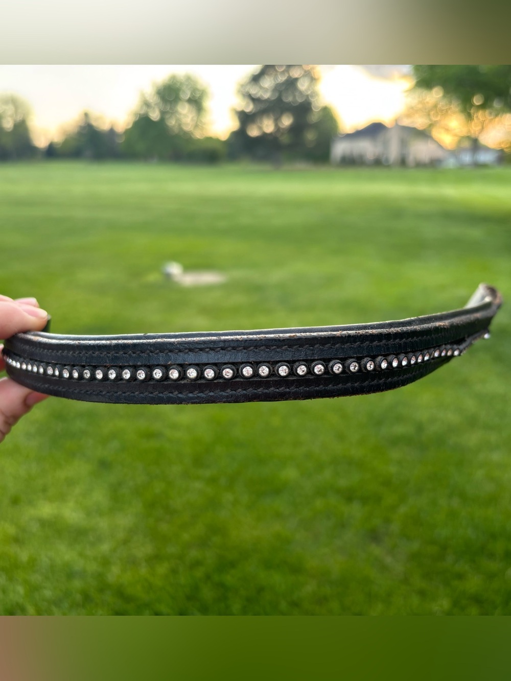 Horse Black Leather Crystal Browband